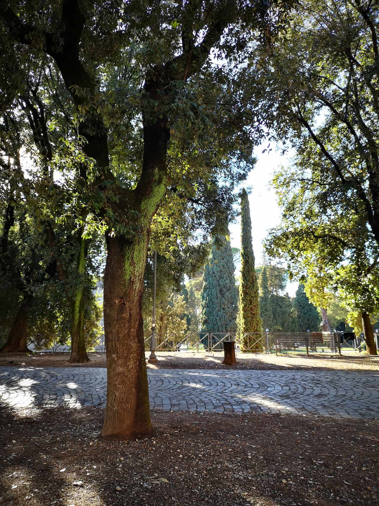 Parco della mole adriana di roma